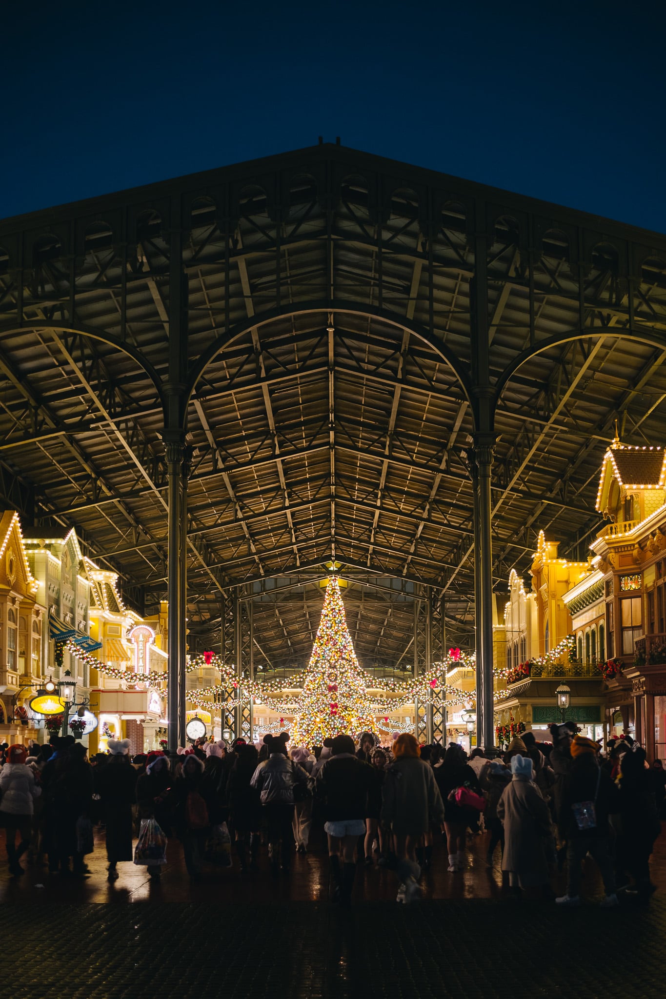 ディズニークリスマス2025